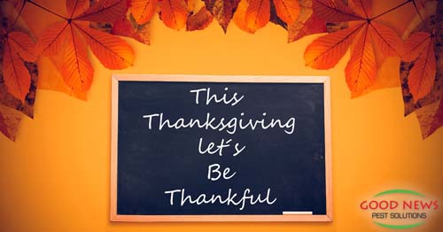 image shows a chalkboard with fall leaves,