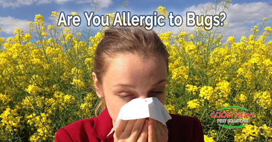 Are You Allergic to Bugs?