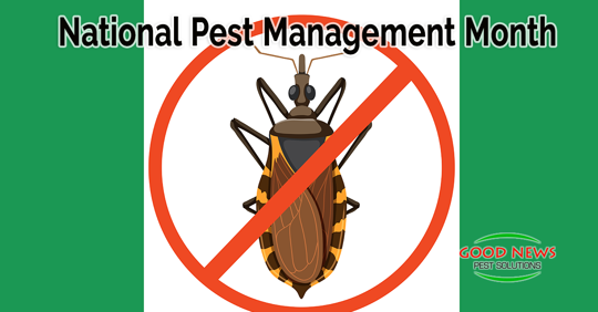 National Pest Management Month