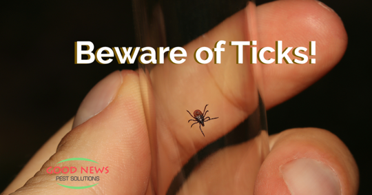 Beware of Ticks!
