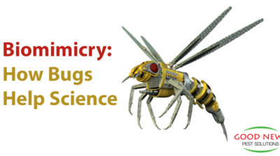 2016 Blogs | Pest Control in Venice