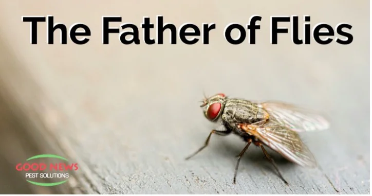 Fly Dad John Merton Aldrich: The Father of Fly Science