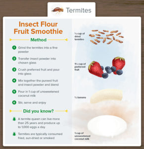 Insect Flour Fruit Smoothie