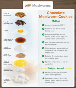 Recipe and ingredients for chocolate mealworm cookies