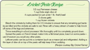 Cricket Pesto recipe