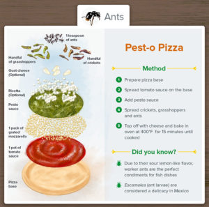 Shows a recipe for "Pest-o Pizza,"