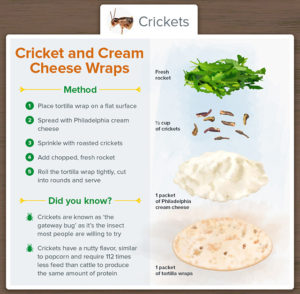 Recipe card for "Cricket and Cream Cheese Wraps"