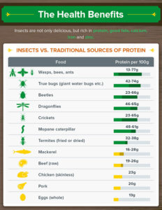 A comparison of different insects and traditional meats