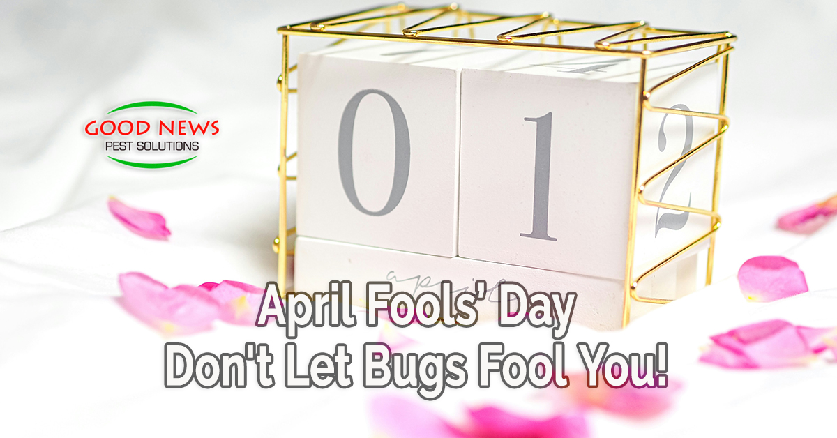 April Fools’ Day - Don't Let Bugs Fool You!