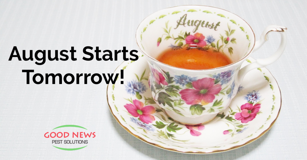 August Starts Tomorrow!