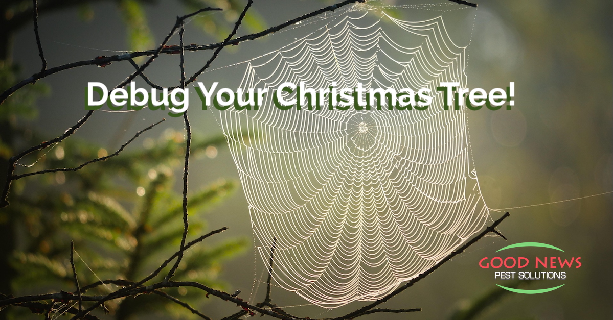 Debug Your Christmas Tree