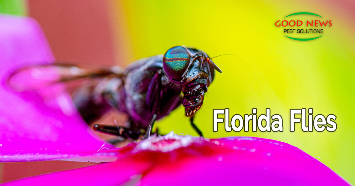 Florida Flies, Part 2 – Biting Flies