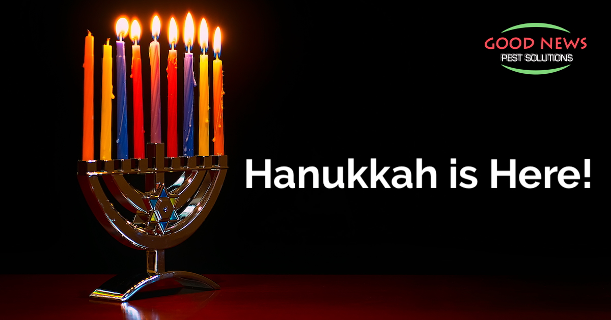 Hanukkah is Here!