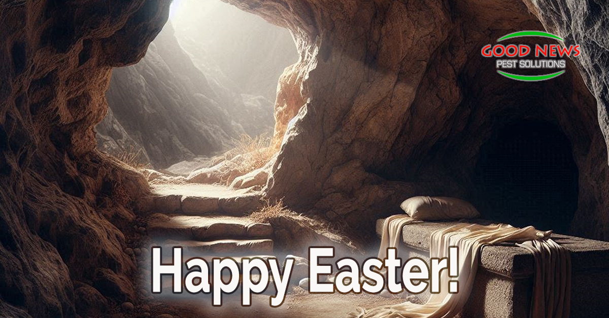 Happy Easter!