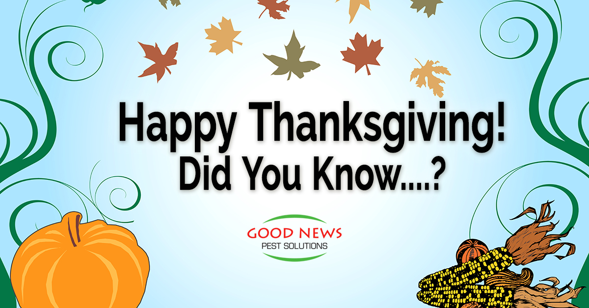 Happy Thanksgiving! Did You Know....?
