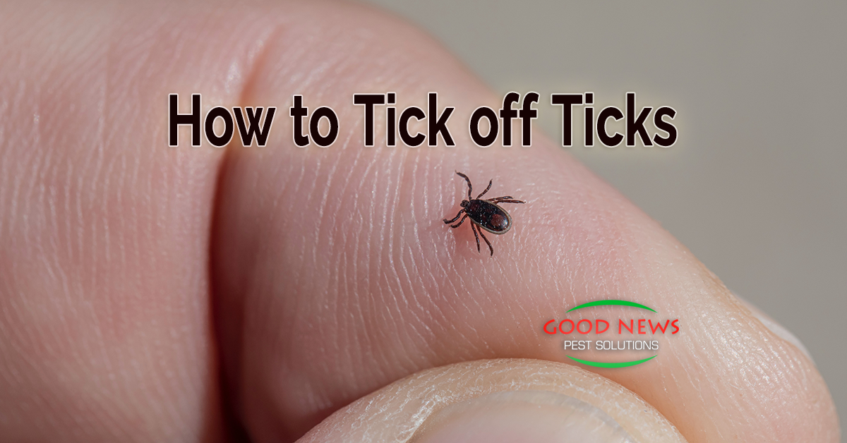 How to Tick off Ticks Pest Control in Venice, FL Good News Pest