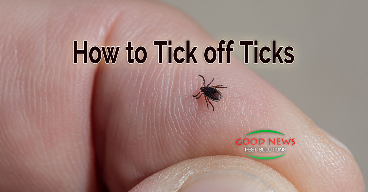 How to Tick off Ticks