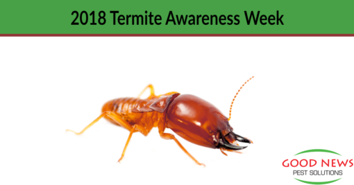 2018 Termite Awareness Week!