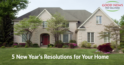 5 New Year’s Resolutions… For Your House