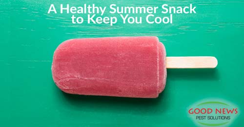 A Healthy Summer Snack to Keep You Cool