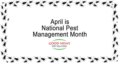 April is National Pest Management Month!