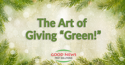 The Art of Giving “Green” This Holiday Season