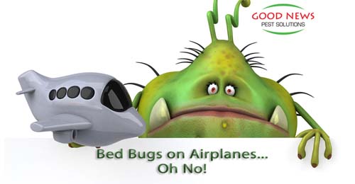 Bedbugs on Airplanes!