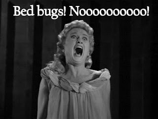Top 10 Bedbug Myths: Part II