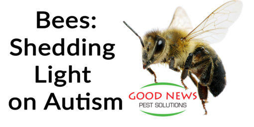Anti-Social Bees: Shedding Light on Autism