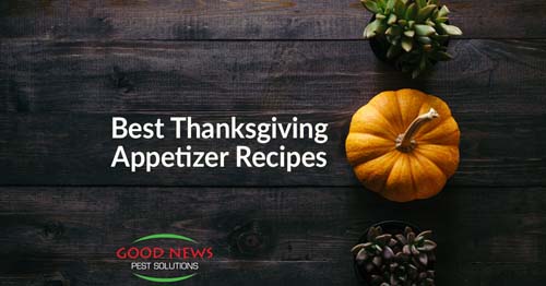 Delicious and Unique Thanksgiving Day Appetizer Recipes