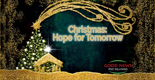 Christmas: Hope for Tomorrow