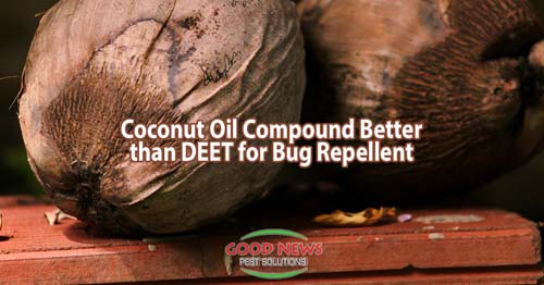 Coconut Oil Compound Beats DEET in Repelling Bugs!