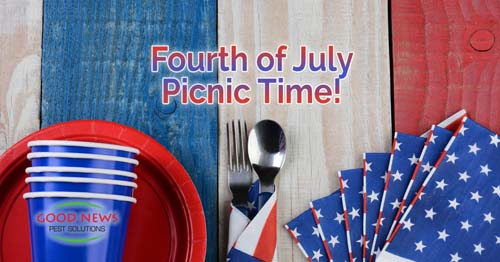 Fourth of July - Picnic Time!