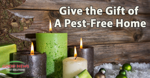 Give the Gift of a Pest-Free Home This Christmas