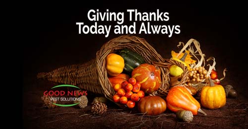 Giving Thanks Today and Always