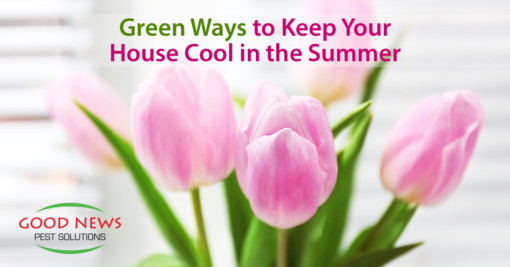 Keep Your Cool in the Summer Months!