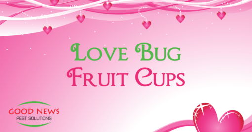 Love Bug Fruit Cups