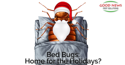 Keeping Bed Bugs From Coming Home for the Holidays