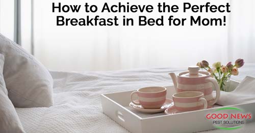 The Perfect Breakfast in Bed for Mother's Day!