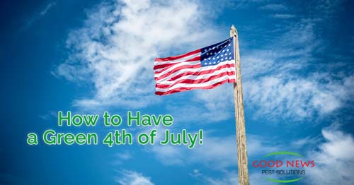 How to Have a Green Fourth of July