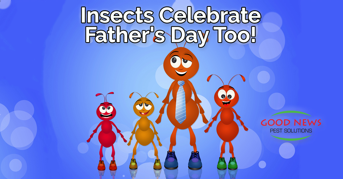 Insects Celebrate Father’s Day Too!