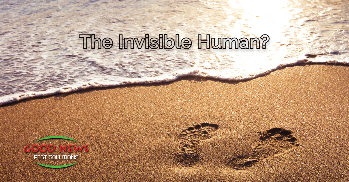 The Invisible Human?