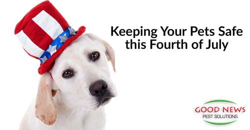 Keeping Your Pets Safe This 4th of July