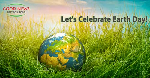 Let's Celebrate Earth Day!