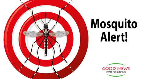 Take Extra Precautions Against Mosquitoes Right Now!