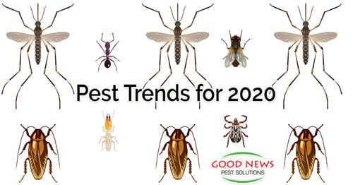 Pests: Pressure Predictions for 2020