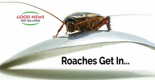 Roaches get in...
