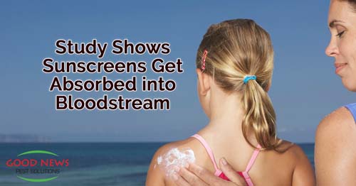 Clinical Trial Revealed Sunscreens Enter Bloodstream