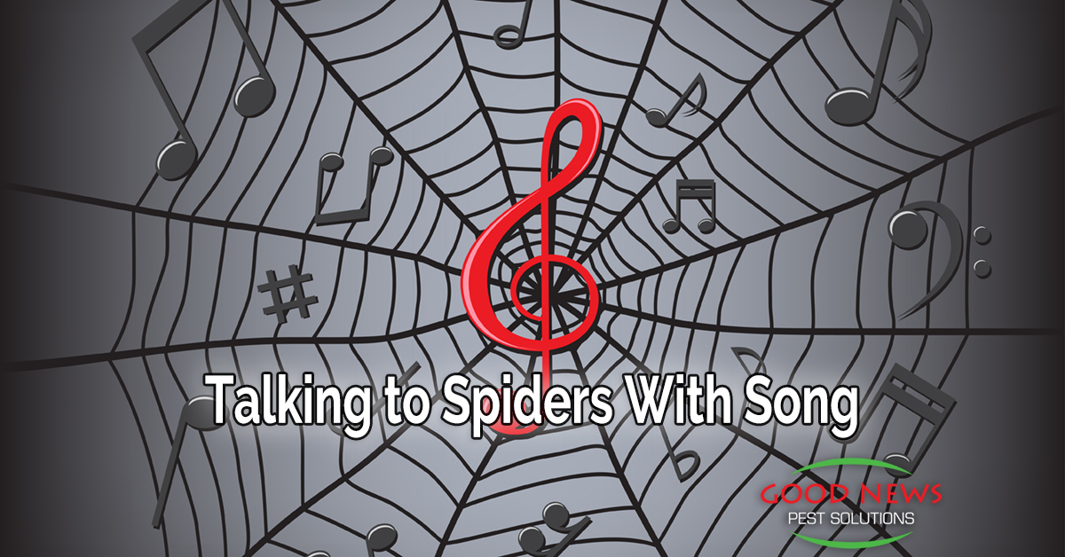 Talking to Spiders With Song