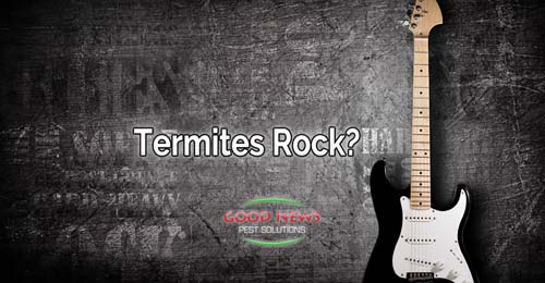 Termites Rock?